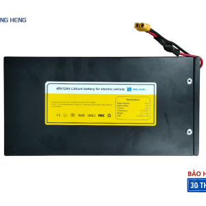 Pin 48V12AH – Vỏ sắt